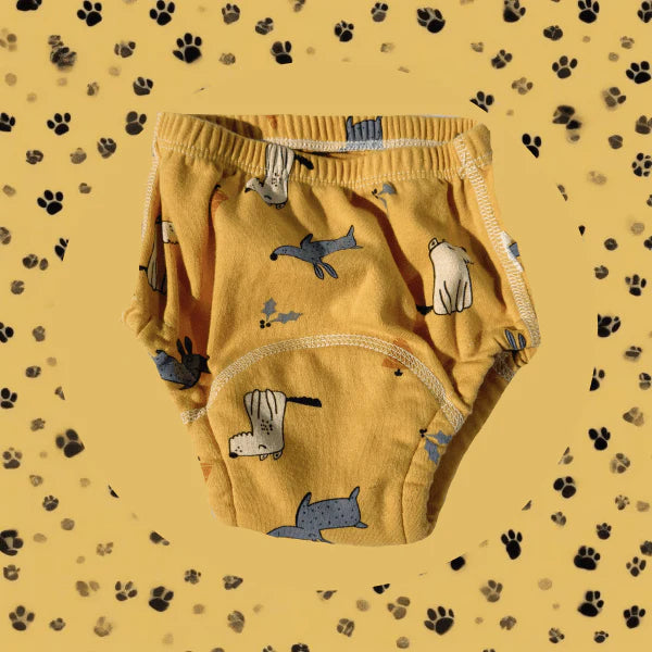 Potty Training Underwear